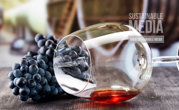 Sting’s Biodynamic Winery