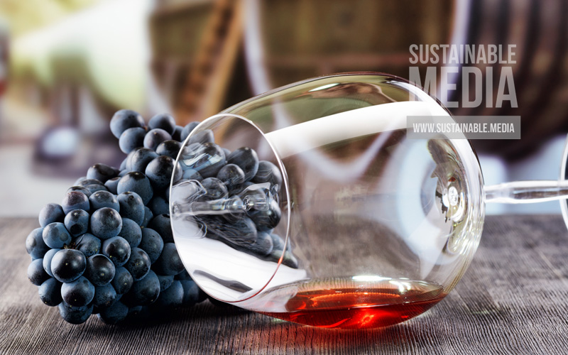 Sting's Biodynamic Wine @ Sustainable Media