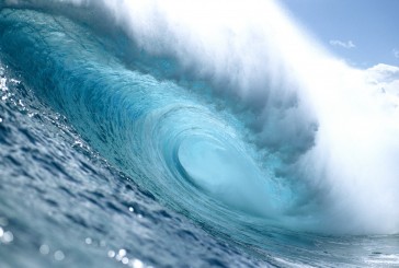 First Renewable Energy From A Wave Power Array