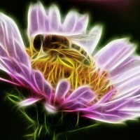 Bees And The Destiny Of Nature